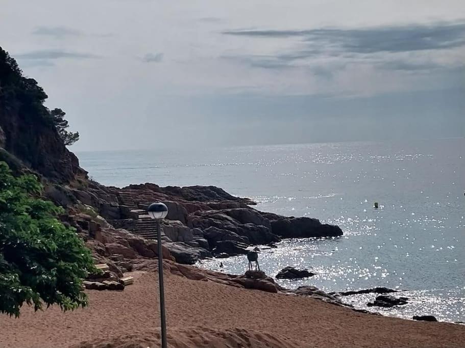 Cala Salions Balandro II Tossa De Mar Apartment Canet De Mar Bagian luar foto