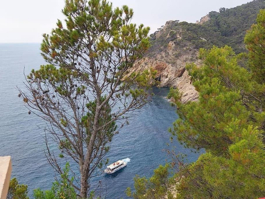 Cala Salions Balandro II Tossa De Mar Apartment Canet De Mar Bagian luar foto