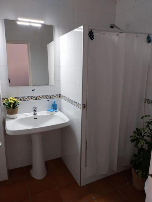 Cala Salions Balandro II Tossa De Mar Apartment Canet De Mar Bagian luar foto