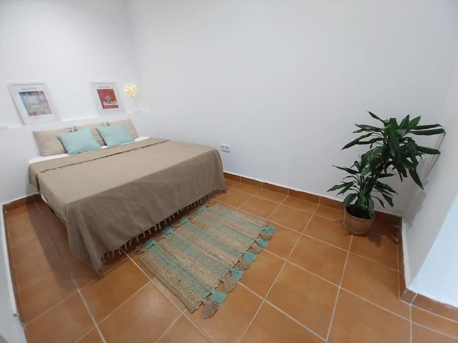 Cala Salions Balandro II Tossa De Mar Apartment Canet De Mar Bagian luar foto