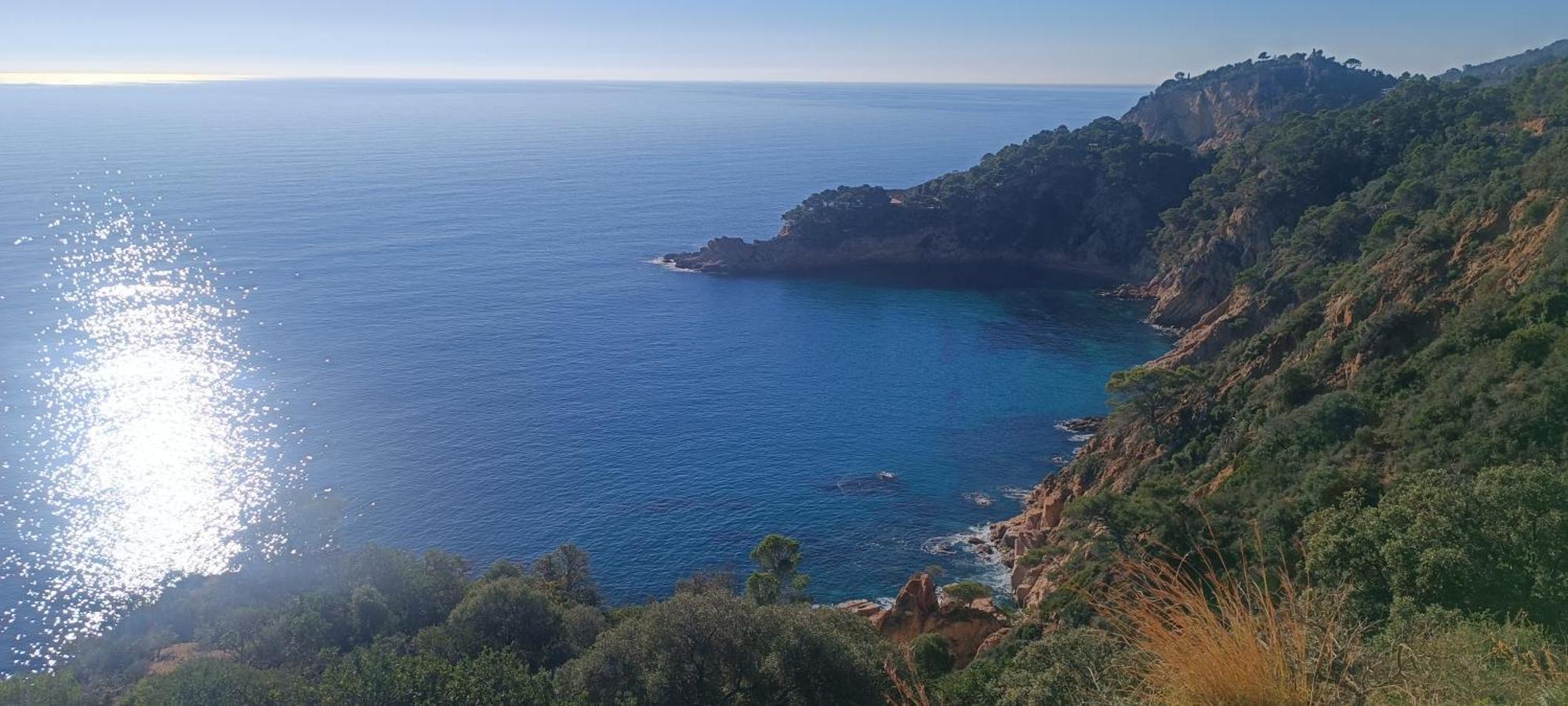 Cala Salions Balandro II Tossa De Mar Apartment Canet De Mar Bagian luar foto